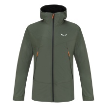 Salewa Hiking Winter Jacket Fanes 2in1 Powertex (2-layer jacket, waterproof) thyme green Men